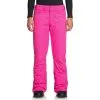 Roxy Backyard Snowboard Pant - Womens