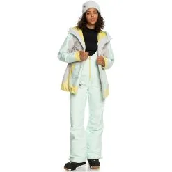 Roxy Outsider Snowboard Bib Pant - Womens -Snowboard Pants Sales ERJTP03202BDY5Alternate4