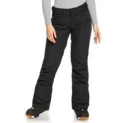 Roxy Backyard Snowboard Pant - Womens -Snowboard Pants Sales ERJTP03211KVJ0Detail