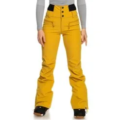 Roxy Rising High Snowboard Pant - Womens -Snowboard Pants Sales ERJTP03213YLV0Detail