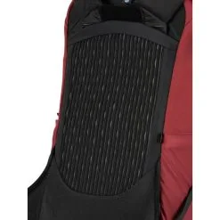 Osprey Archeon 24 Backpack -Snowboard Pants Sales archeon24 s21 detail2 mudred