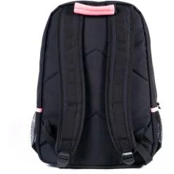 Santa Cruz Gradient Strip Backpack -Snowboard Pants Sales gradient strip black SW2221401 2